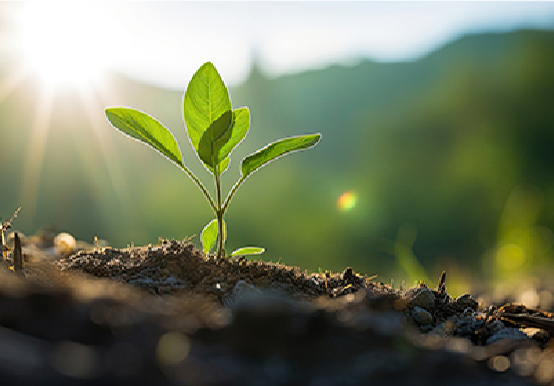 ホームページをリニューアルしました！